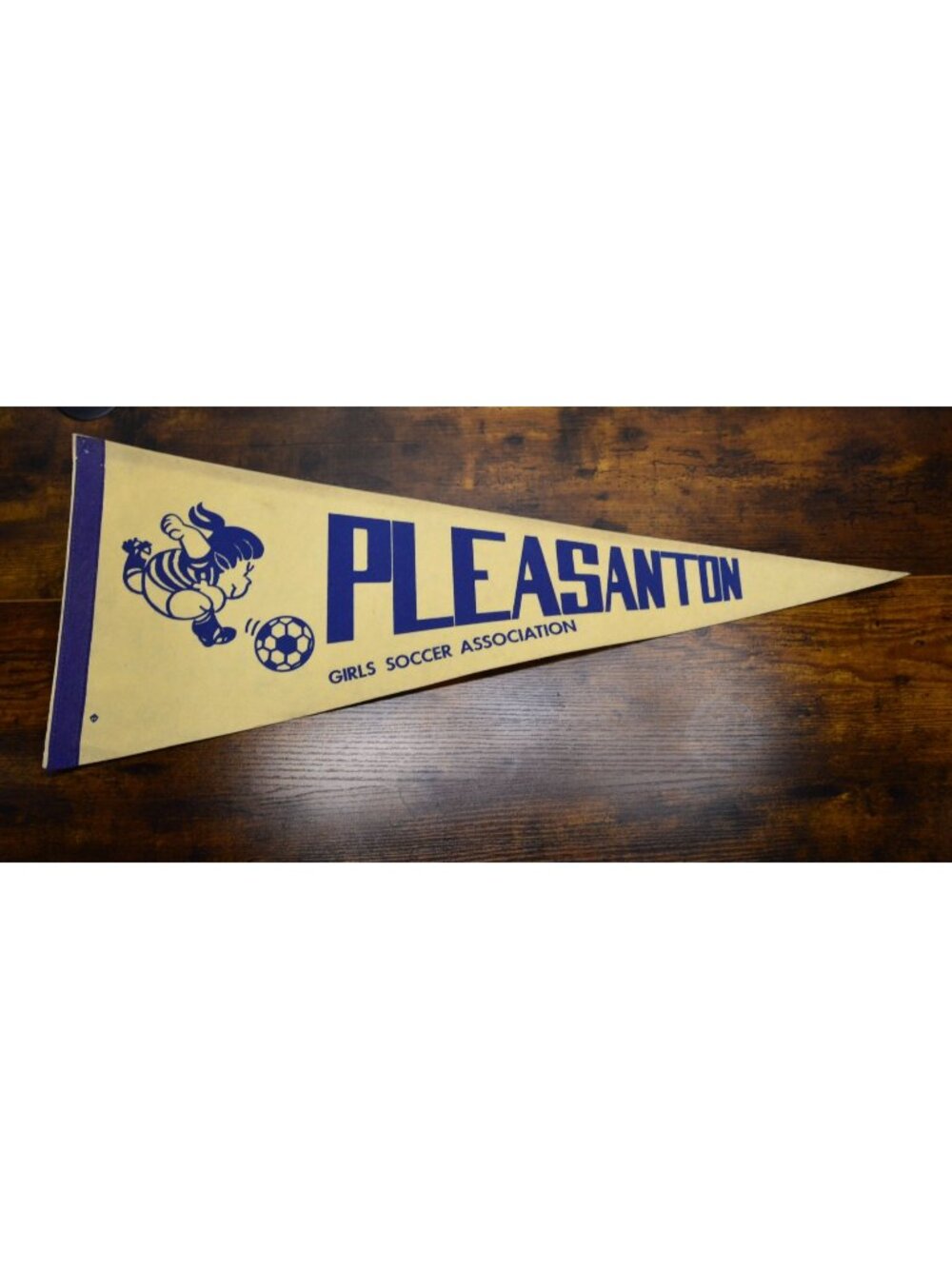 Vintage Pleasanton Girls Soccer Association pennant Collectible 30 inches